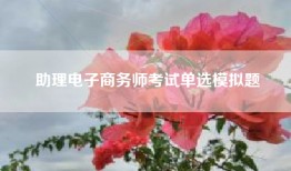 助理电子商务师考试单选模拟题