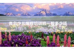 青岛少儿编程培训班一般多少钱