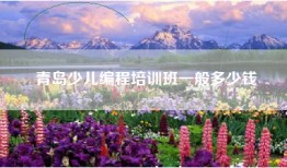 青岛少儿编程培训班一般多少钱