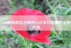 C#调用微信小程序JSAPI支付配置和示例代码