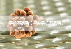 手机不震动（华为手机不震动）