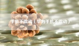 手机不震动（华为手机不震动）