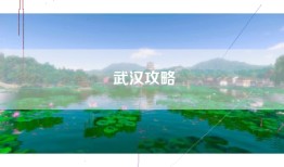 武汉攻略