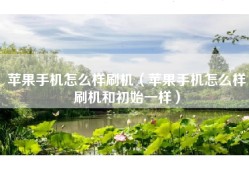 苹果手机怎么样刷机（苹果手机怎么样刷机和初始一样）