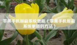 苹果手机屏蔽系统更新（苹果手机屏蔽系统更新的方法）