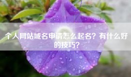个人网站域名申请怎么起名？有什么好的技巧？