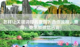 怎样让关键词排名靠前？合作流程，费用，要求加微信咨询！