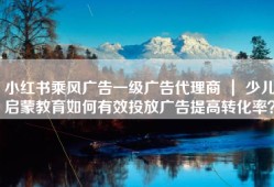 小红书乘风广告一级广告代理商 ｜ 少儿启蒙教育如何有效投放广告提高转化率？