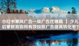 小红书乘风广告一级广告代理商 ｜ 少儿启蒙教育如何有效投放广告提高转化率？