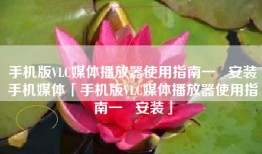 手机版VLC媒体播放器使用指南一   安装手机媒体「手机版VLC媒体播放器使用指南一   安装」