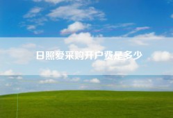 日照爱采购开户费是多少