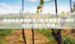 揭秘映客盈利模式，探寻直播平台赚钱背后的秘密与策略