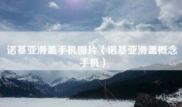 诺基亚滑盖手机图片（诺基亚滑盖概念手机）