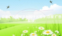 百度广告投放平台叫什么名字(百度 广告投放)