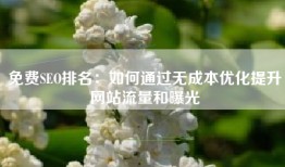 免费SEO排名：如何通过无成本优化提升网站流量和曝光