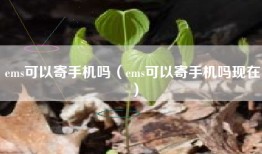 ems可以寄手机吗（ems可以寄手机吗现在）
