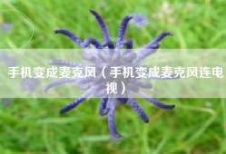 手机变成麦克风（手机变成麦克风连电视）