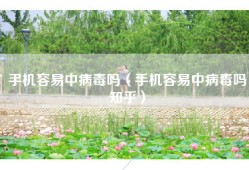 手机容易中病毒吗（手机容易中病毒吗知乎）