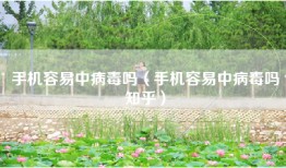 手机容易中病毒吗（手机容易中病毒吗知乎）