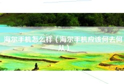 海尔手机怎么样（海尔手机应该何去何从）