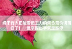 终于有人把能看透主力的集合竞价讲明白了！一旦掌握出手就是涨停