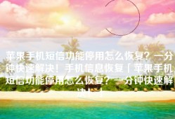 苹果手机短信功能停用怎么恢复？一分钟快速解决！手机信息恢复「苹果手机短信功能停用怎么恢复？一分钟快速解决！」