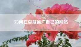 如何在百度推广自己的网站