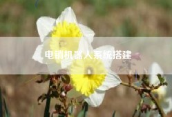 电销机器人系统搭建