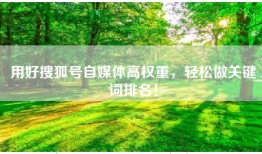 用好搜狐号自媒体高权重，轻松做关键词排名！
