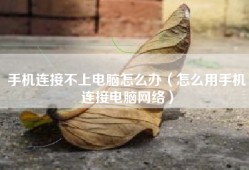 手机连接不上电脑怎么办（怎么用手机连接电脑网络）