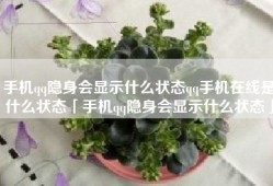 手机qq隐身会显示什么状态qq手机在线是什么状态「手机qq隐身会显示什么状态」