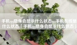 手机qq隐身会显示什么状态qq手机在线是什么状态「手机qq隐身会显示什么状态」