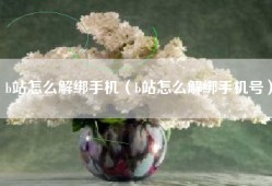 b站怎么解绑手机（b站怎么解绑手机号）