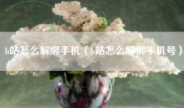 b站怎么解绑手机（b站怎么解绑手机号）