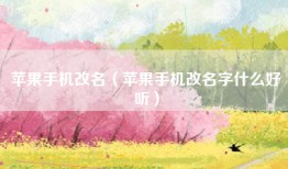 苹果手机改名（苹果手机改名字什么好听）