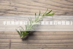 手机黑屏重启（iphone黑屏重启响警报）