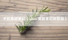手机黑屏重启（iphone黑屏重启响警报）