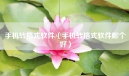 手机转格式软件（手机转格式软件哪个好）