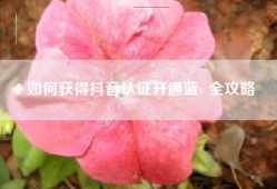 如何获得抖音认证开通蓝v 全攻略