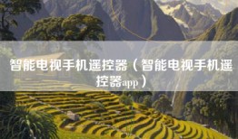 智能电视手机遥控器（智能电视手机遥控器app）