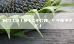 网络代理手机（网络代理手机在哪里关闭）
