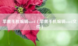苹果手机编辑word（苹果手机编辑word文件）