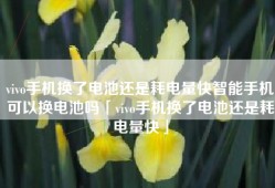 vivo手机换了电池还是耗电量快智能手机可以换电池吗「vivo手机换了电池还是耗电量快」