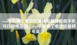 vivo手机换了电池还是耗电量快智能手机可以换电池吗「vivo手机换了电池还是耗电量快」