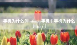手机为什么叫notenote手机「手机为什么叫note」