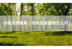 手机无故黑屏（手机无故黑屏怎么办）