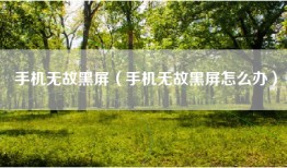 手机无故黑屏（手机无故黑屏怎么办）