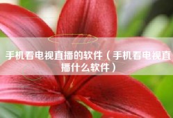 手机看电视直播的软件（手机看电视直播什么软件）