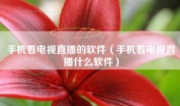 手机看电视直播的软件（手机看电视直播什么软件）