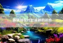 陈晓现在对赵丽颖的评价